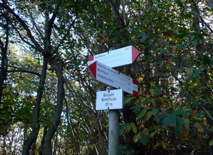 Bivio Sentiero Monte Piccolo bivio