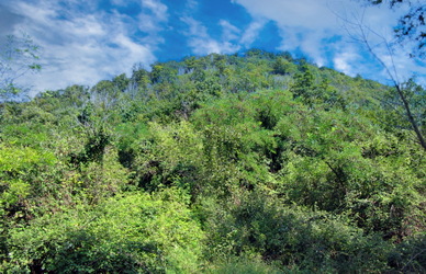 Monte Solone M. Solone