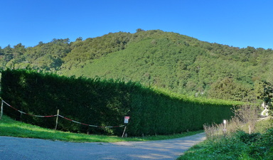 Monte Vignola M. Vignola