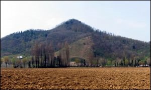 Monte Alto