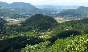Monte Alto