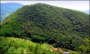 Monte Altore