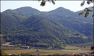 Monte Arrigon