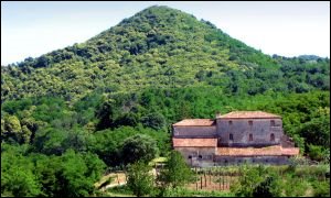 Baiamonte