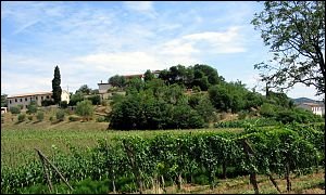 Monte Baraldo
