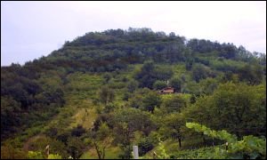 Monte Boscalbò