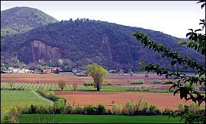 Monte Brusà