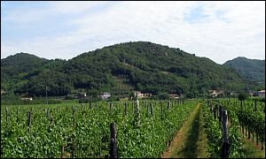 Monte Cimisella