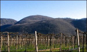 Monte Comun