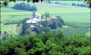 Costigliola
