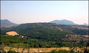 Covolo
