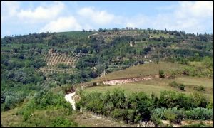 Monte Fasolo