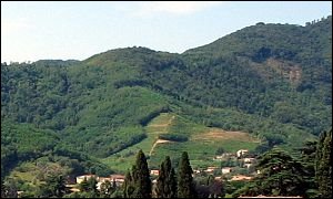 Monte delle Grotte