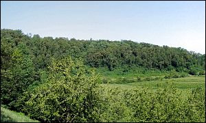 Monte Matello