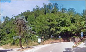 Monte Miego