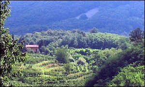 Mottolo Mofio