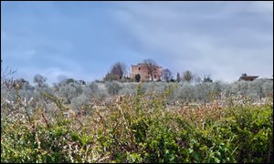 Monte delle Monache