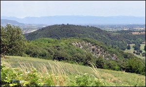 Motolo de Marin