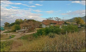 Mottesella