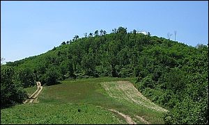 Monte Oliveto