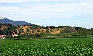 Monte Ragno