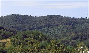Il Roccolo