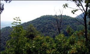 Monte Salarola