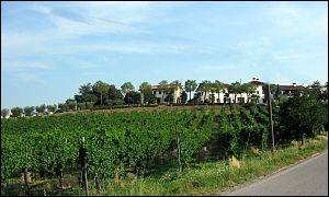 Monte Scaiaro