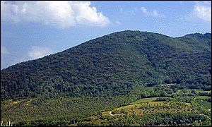 Monte Solana
