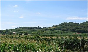 Terralba