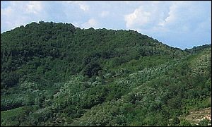 Monte Trevisan