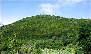 Monte Vendevolo