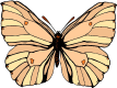 farfalla