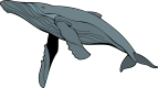 balena