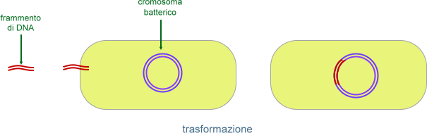 trasformazione