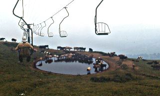 dolina