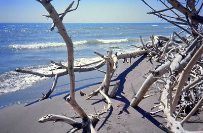 Marina di Grosseto