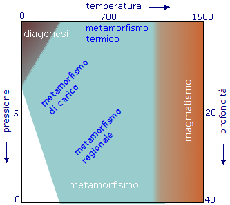 schema metamorfismo