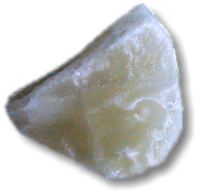 salgemma