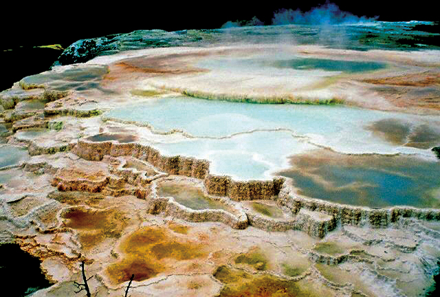 acqua giovanile