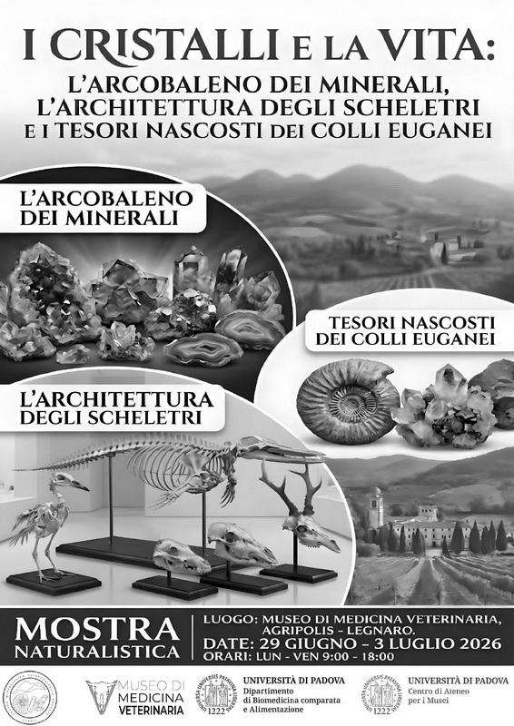 Euganei: scrigno di geodiversità e vita