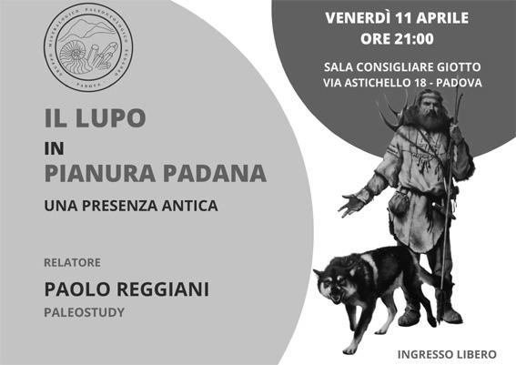 Il lupo in Pianura Padana