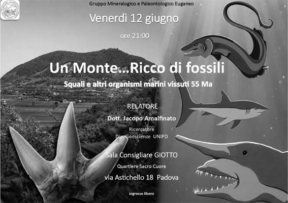Un Monte ... Ricco di fossili