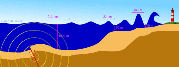 schema tsunami