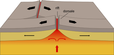 Dorsale oceanica