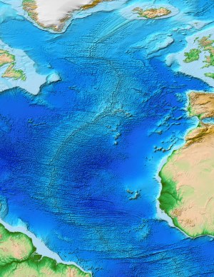 dorsale oceanica
