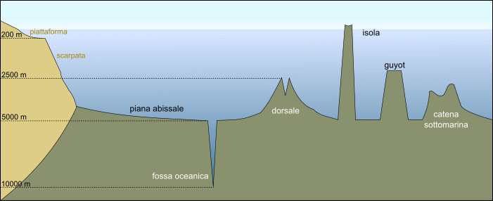 strutture oceaniche