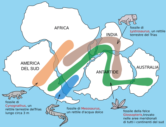 distribuzione fossili