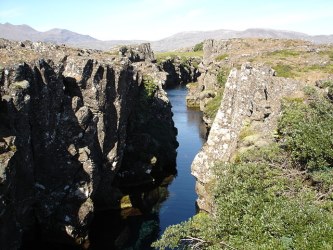 faglia islandese