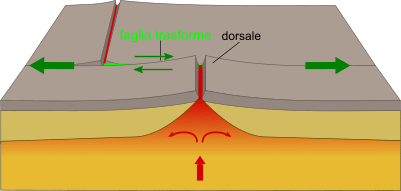 Margine trasforme
